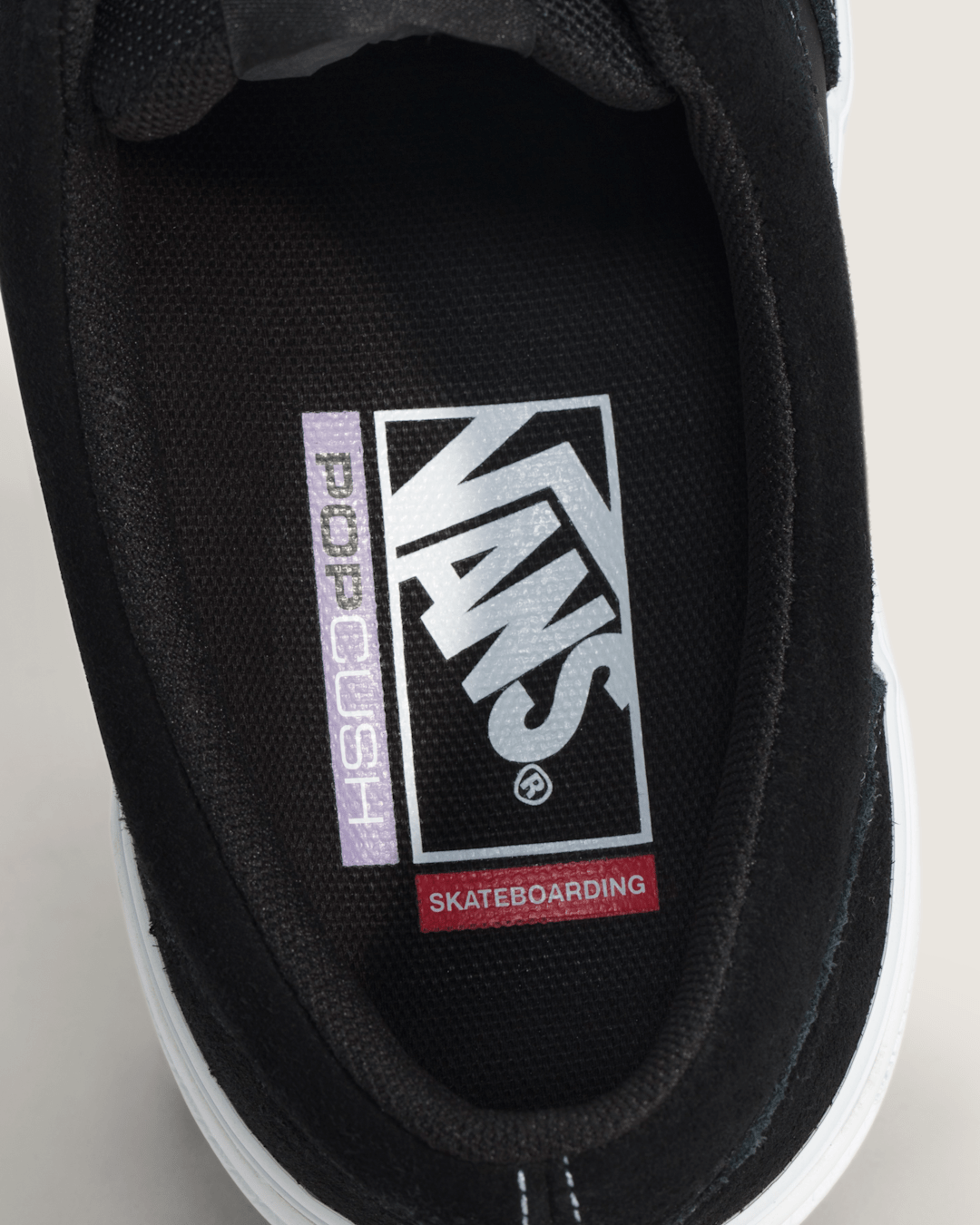 Vans Skate Era Shoe in Black / White