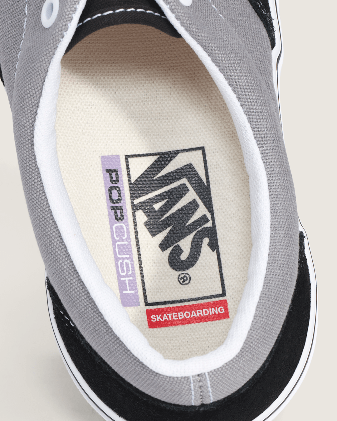 Vans Skate Era Shoe in Black / Grey
