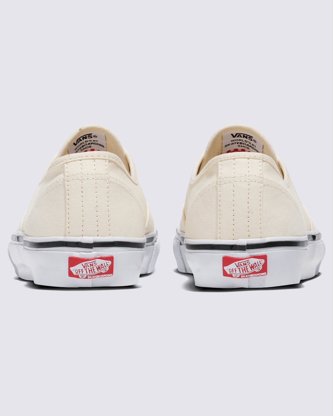 Vans Customs Skate Authentic Shoe in Customs