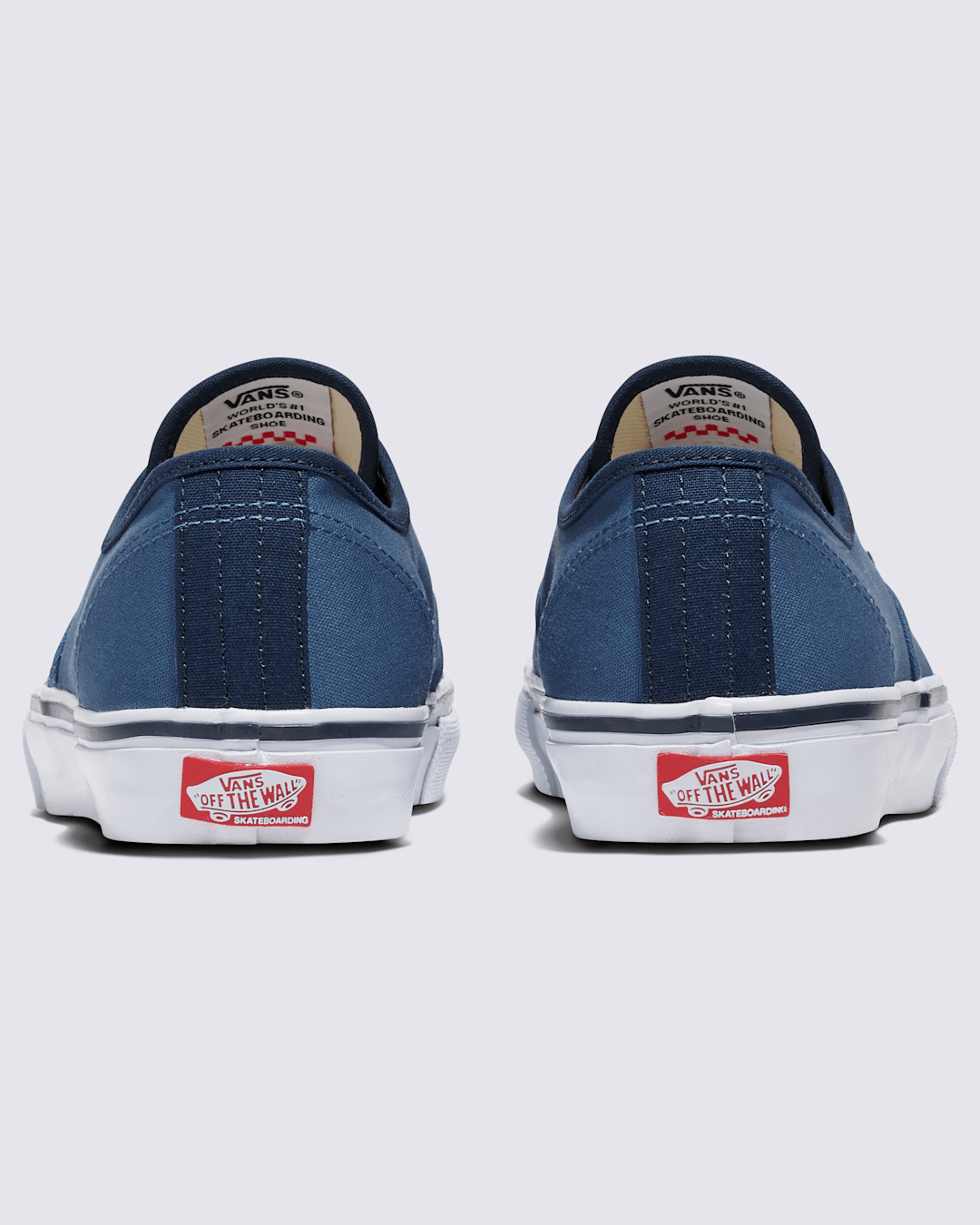 Vans Customs Skate Authentic Shoe in Customs