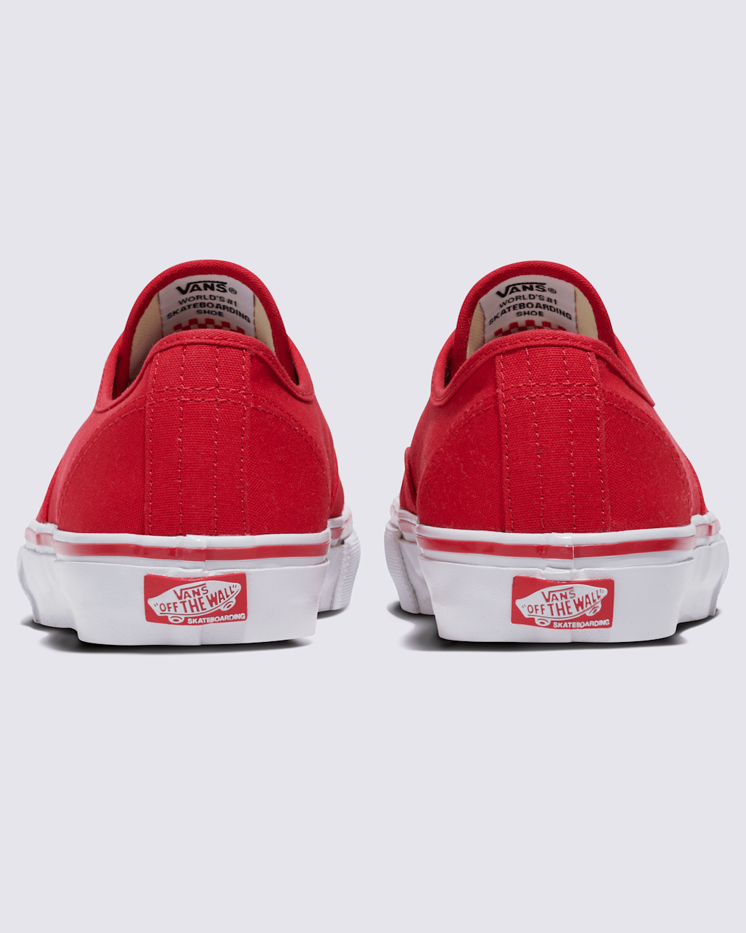 Vans Customs Skate Authentic Shoe in Customs