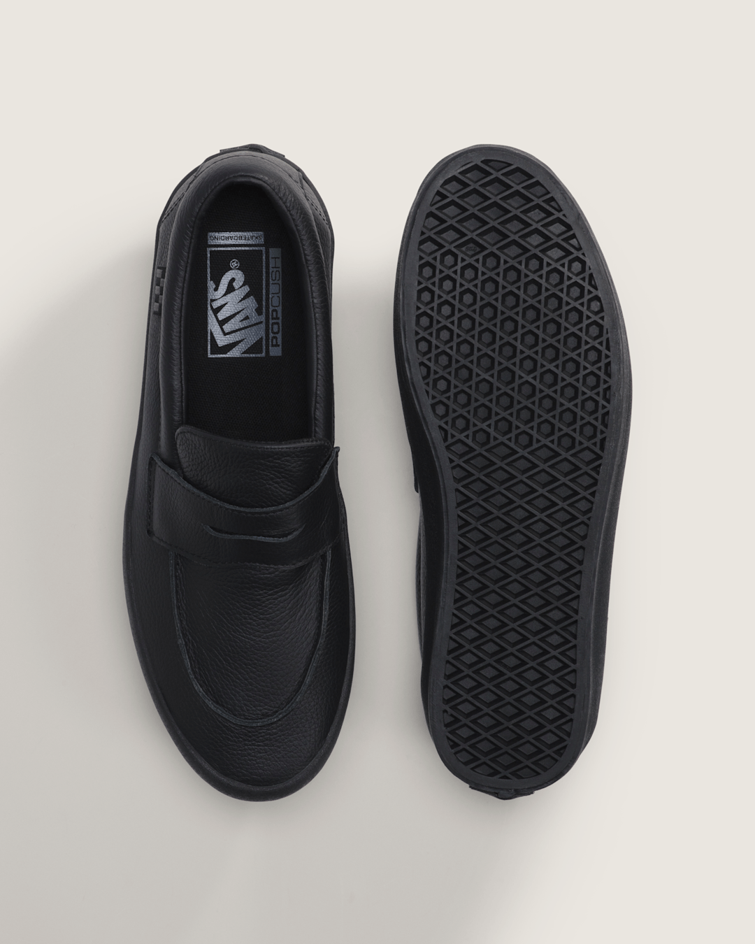 Vans Skate Loafer Shoe in Black