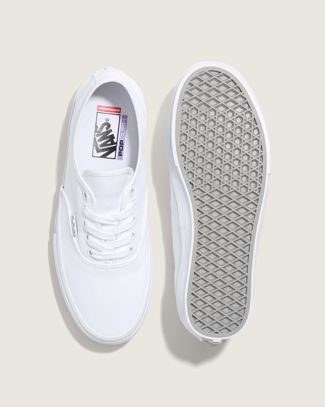 Vans Skate Authentic True White Skate Shoe