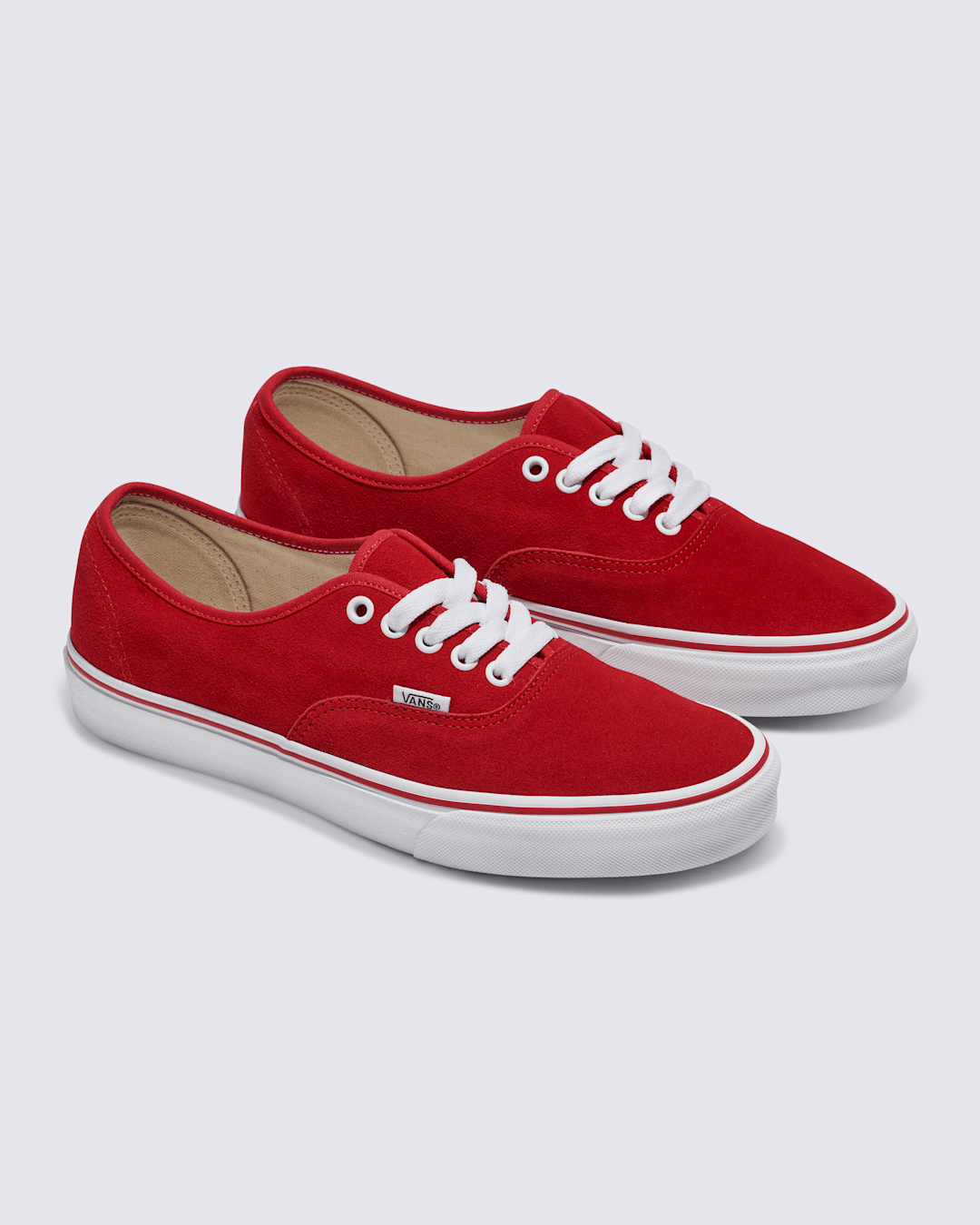 Vans Customs Authentic Suede Shoe in Customs