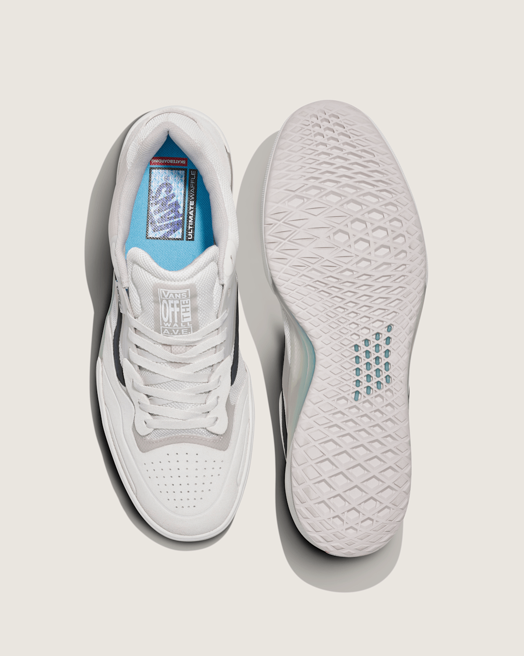 Vans Skate AVE 2.0 Shoe in White