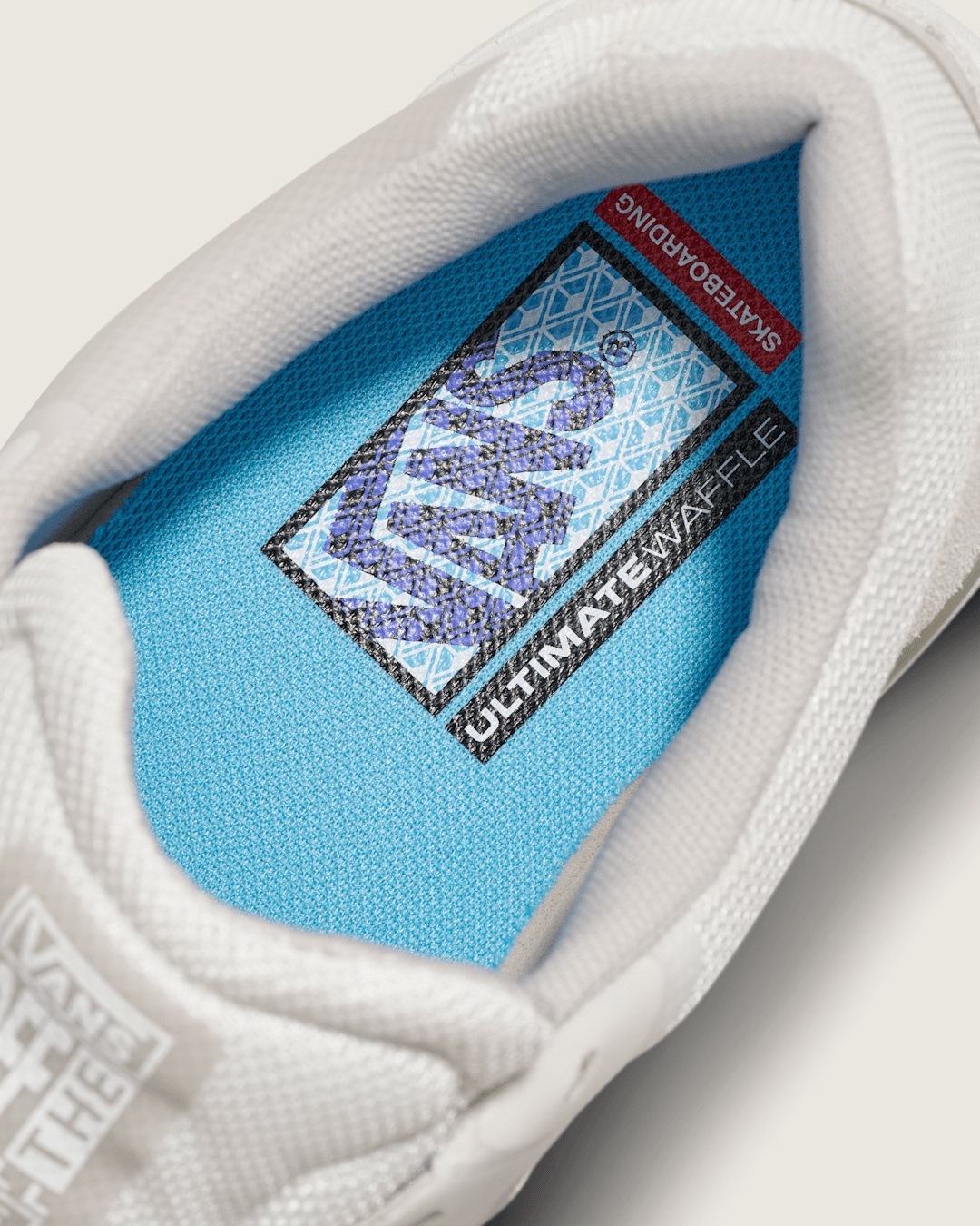 Vans Skate AVE 2.0 Shoe in White