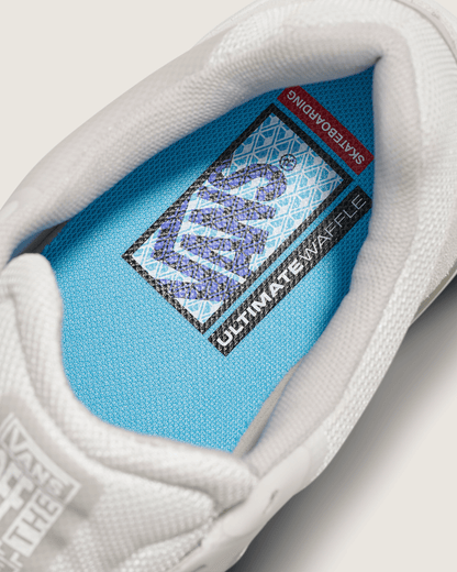 Vans Skate AVE 2.0 Shoe in White