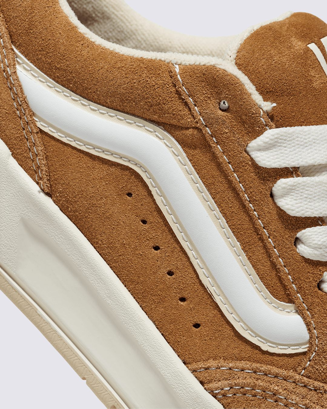Vans Hylane Shoe in Brown