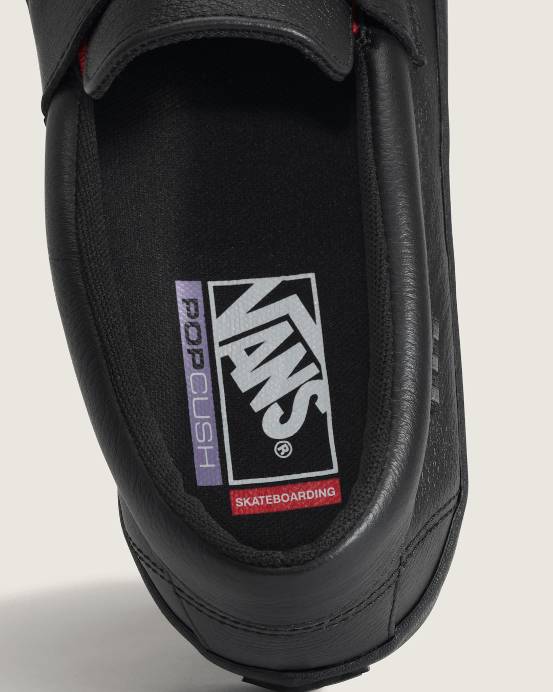 Vans Skate Loafer Shoe in Blackout