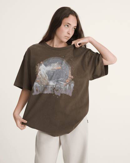 Vans Snow Chutes T-Shirt in Coal Brown
