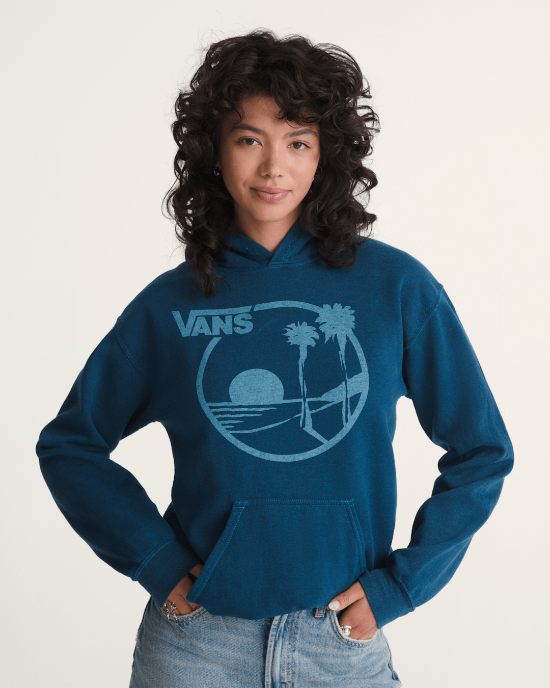 Vans Waffle Shop Sun Vans Style Pullover Hoodie in Navy Blue