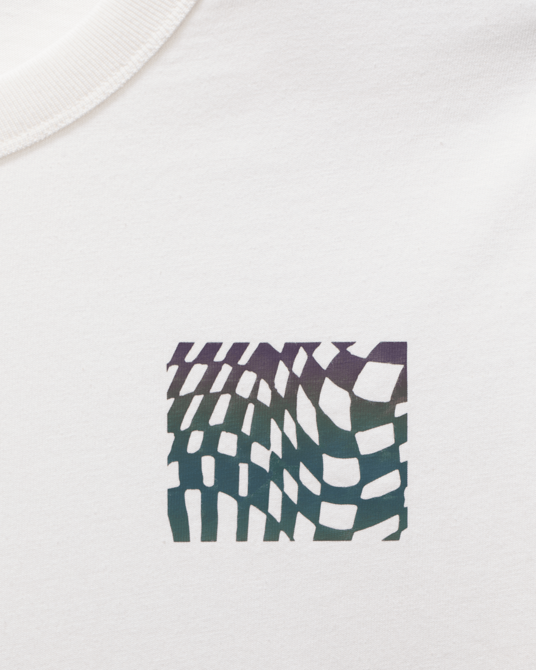 Vans Wildthorn Reflective T-Shirt in Cream White