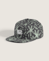 Grey Olive Green
