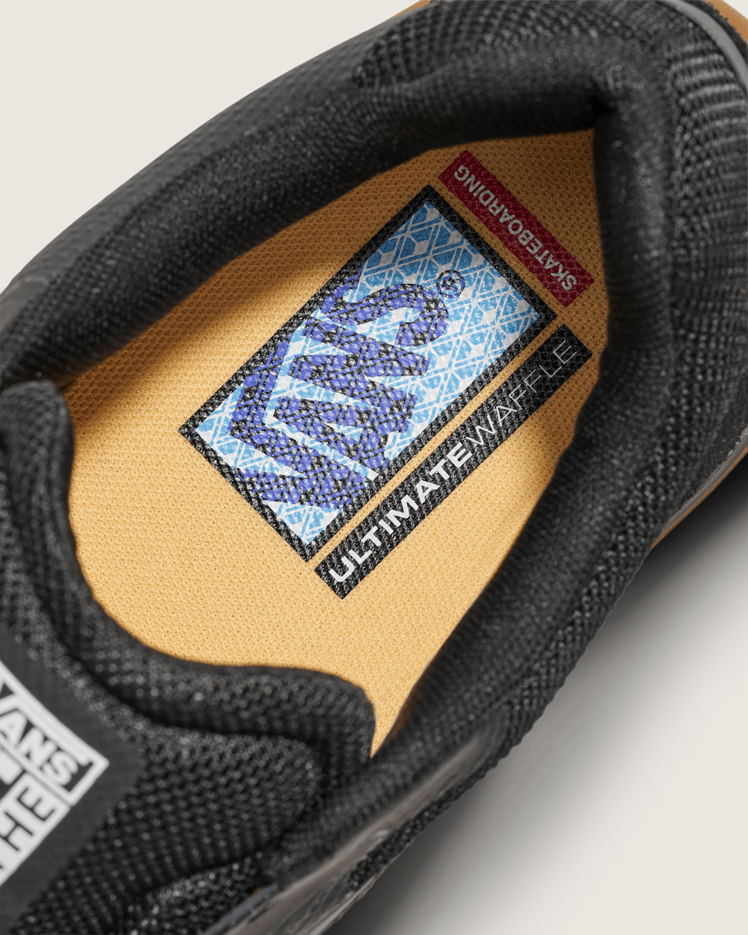 Vans Skate AVE 2.0 Shoe in Gum Black
