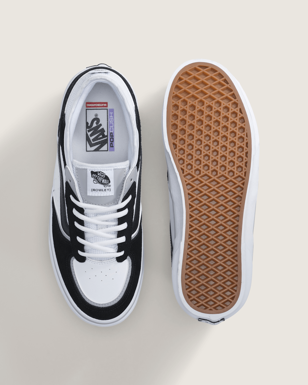 Vans Skate Rowley Shoe in Black / White