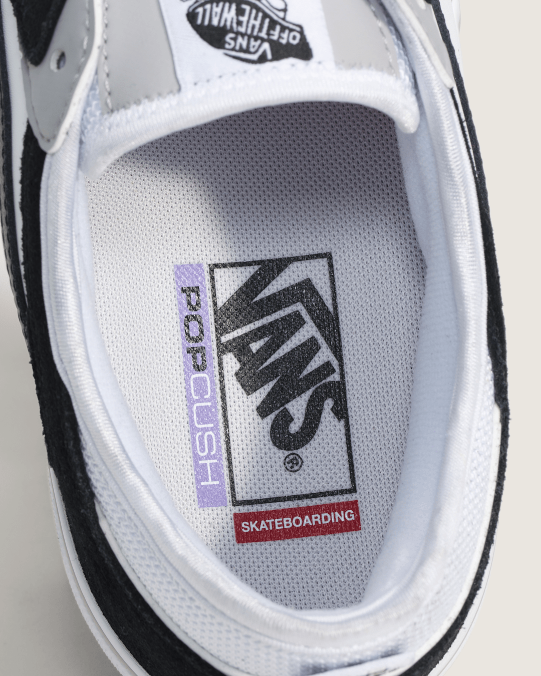 Vans Skate Rowley Shoe in Black / White