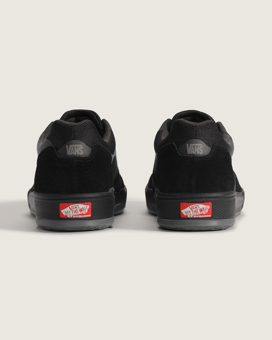 Vans Skate AVE 2.0 Shoe in Black