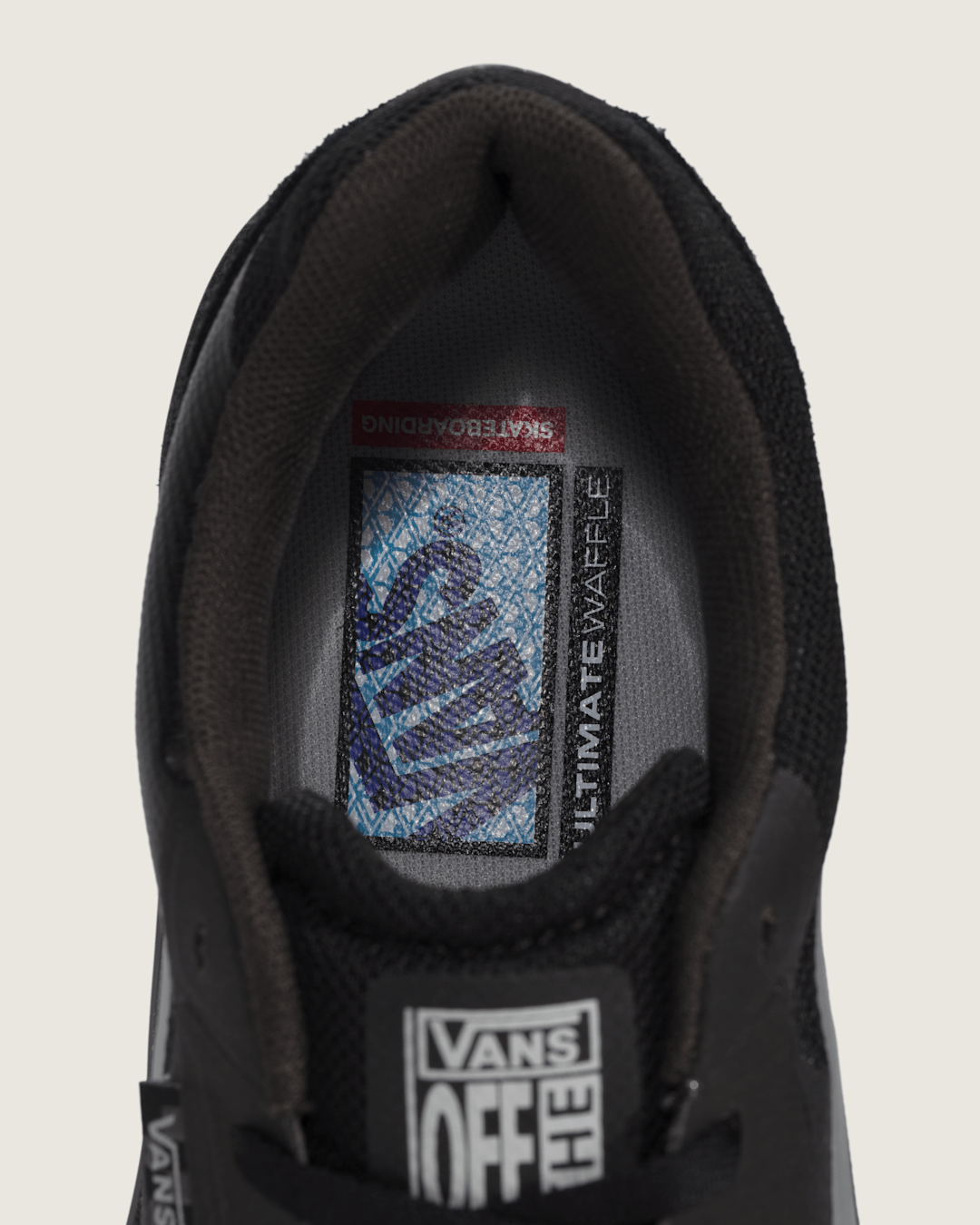 Vans Skate AVE 2.0 Shoe in Black
