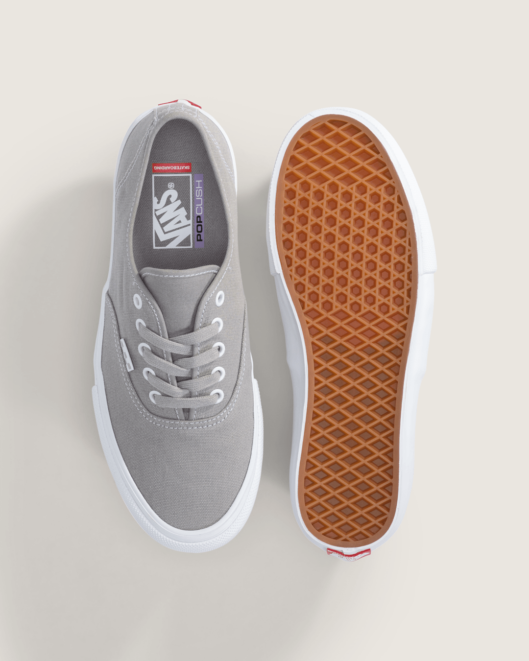 Vans Skate Authentic Shoe in Drizzle Grey