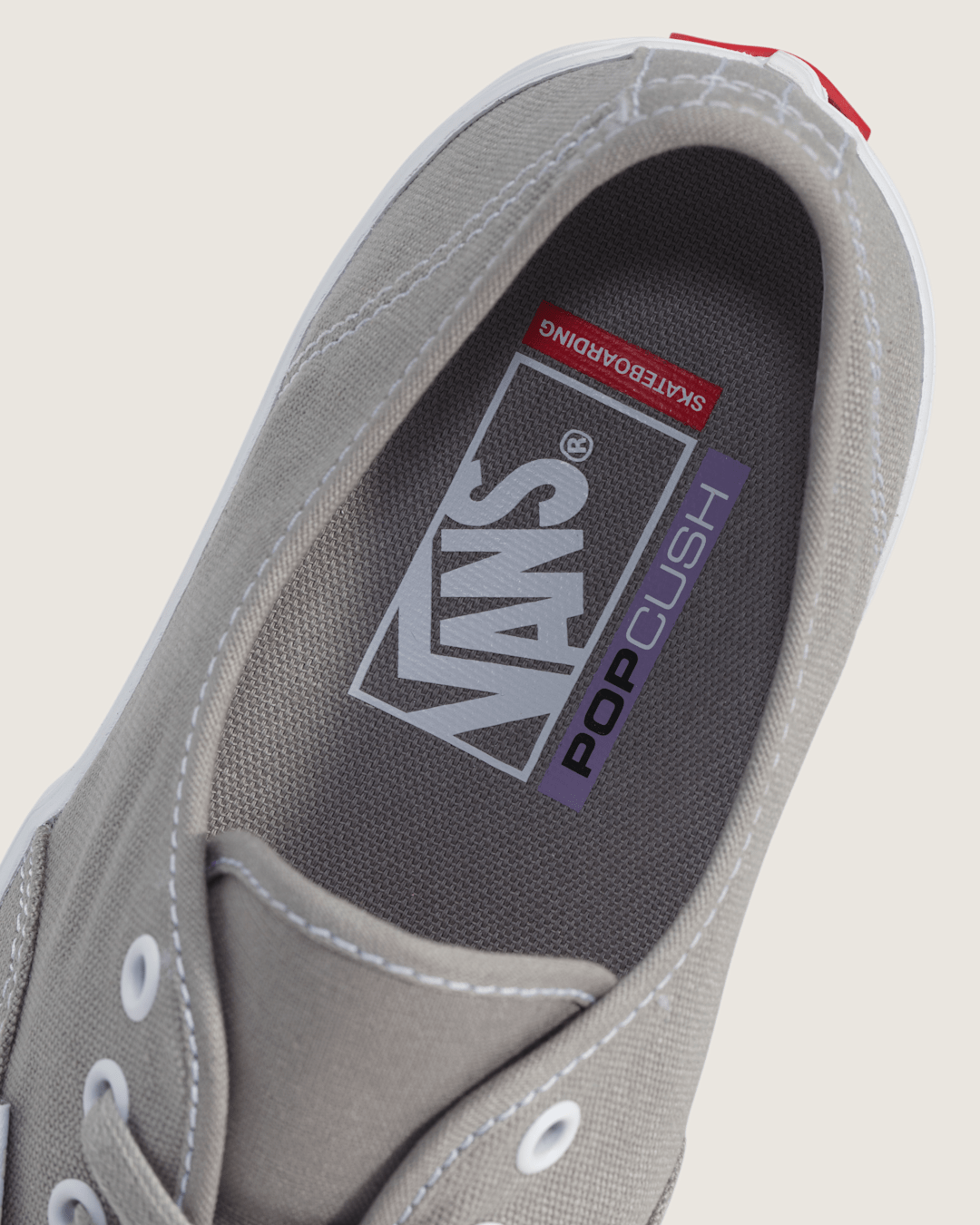 Vans Skate Authentic Shoe in Drizzle Grey