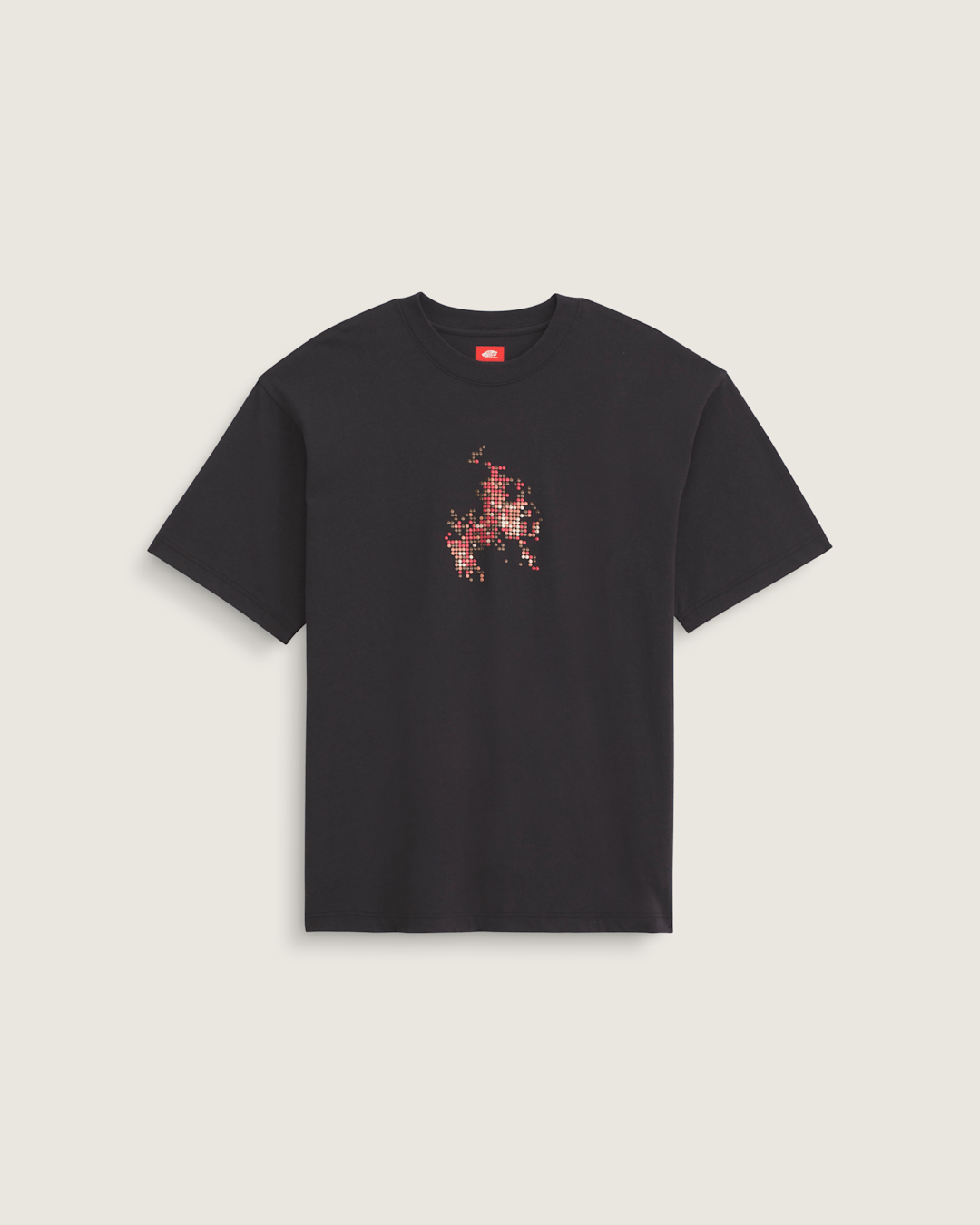 Vans Skate Flame T-Shirt in Black
