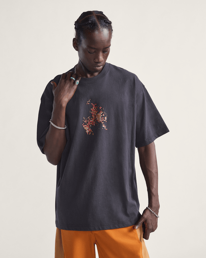 Vans Skate Flame T-Shirt in Black