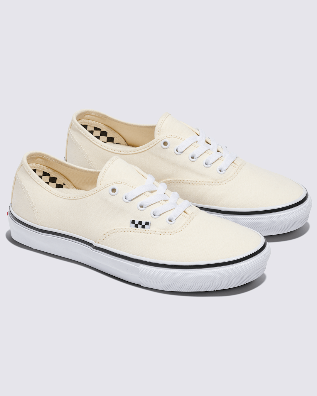 Vans Customs Skate Authentic Shoe in Customs