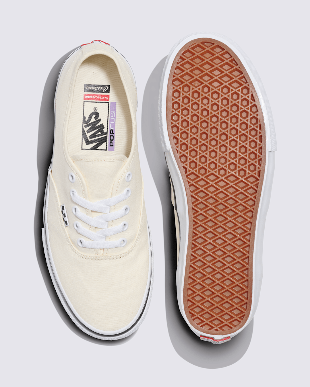 Vans Customs Skate Authentic Shoe in Customs