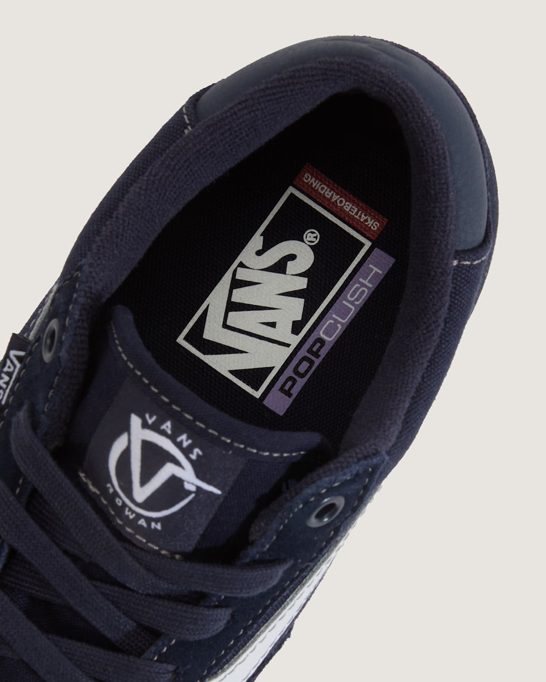 Vans Skate Rowan Shoe in Navy Blue / White