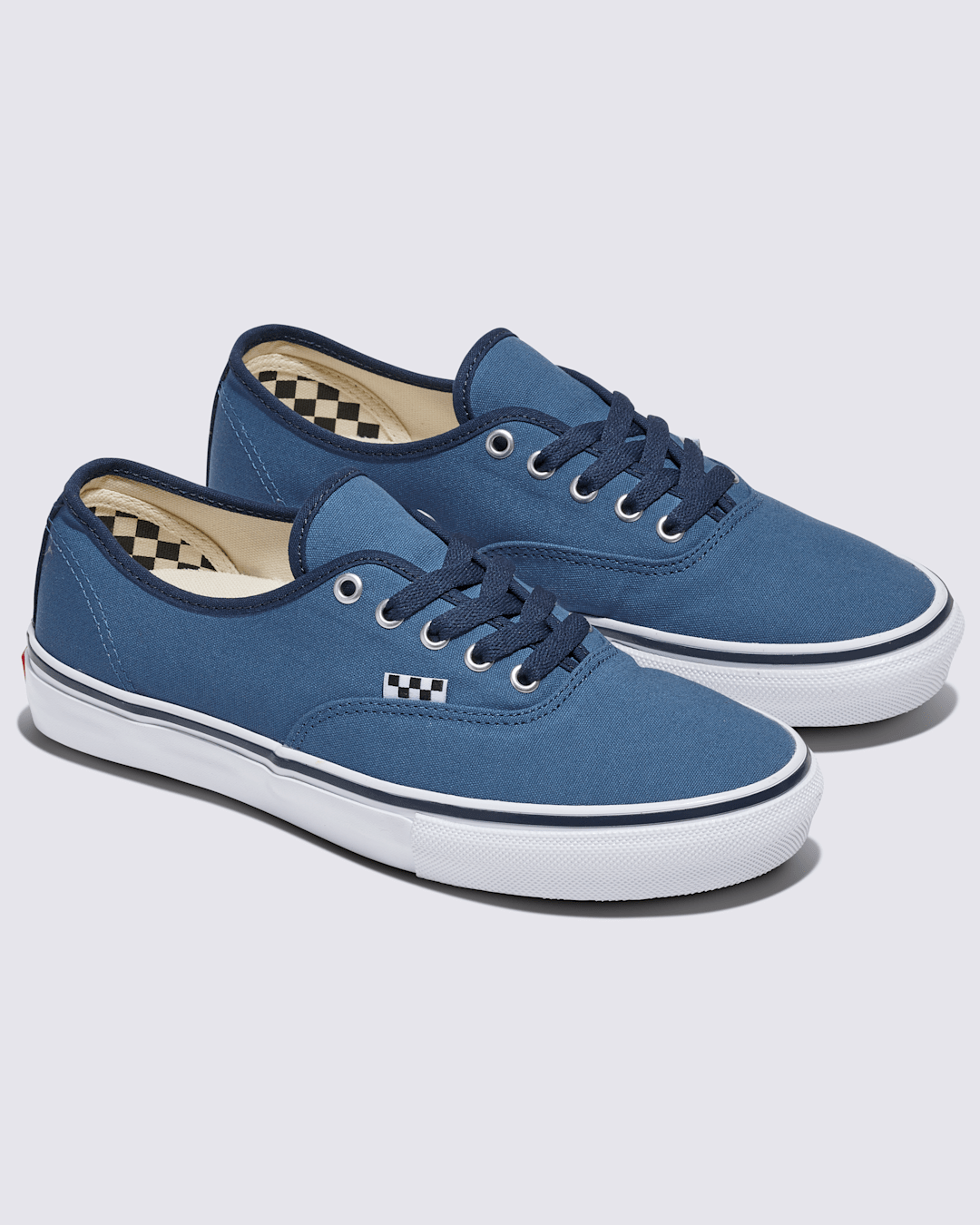 Vans Customs Skate Authentic Shoe in Customs