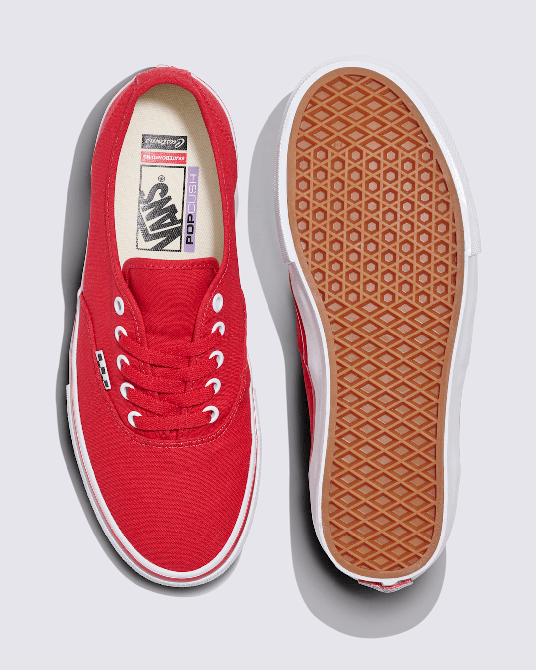 Vans Customs Skate Authentic Shoe in Customs