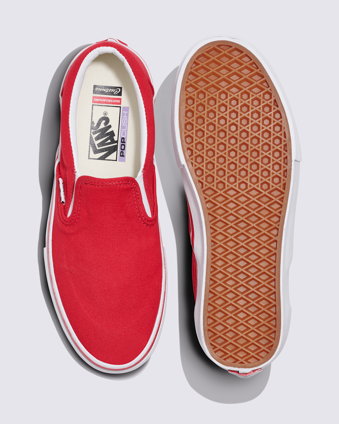 Vans Customs Skate Slip-On Shoe in Customs