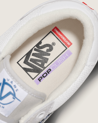 Vans Skate Rowan Shoe in Grey / Blue