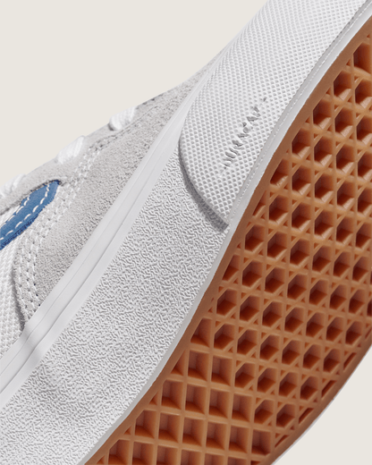 Vans Skate Rowan Shoe in Grey / Blue
