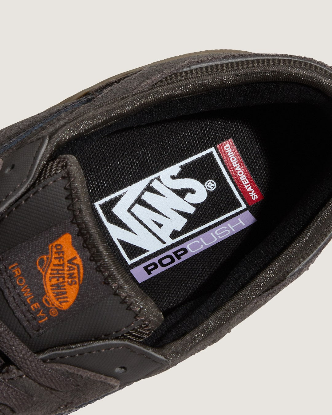 Vans Skate Rowley Gum Shoe in Brown