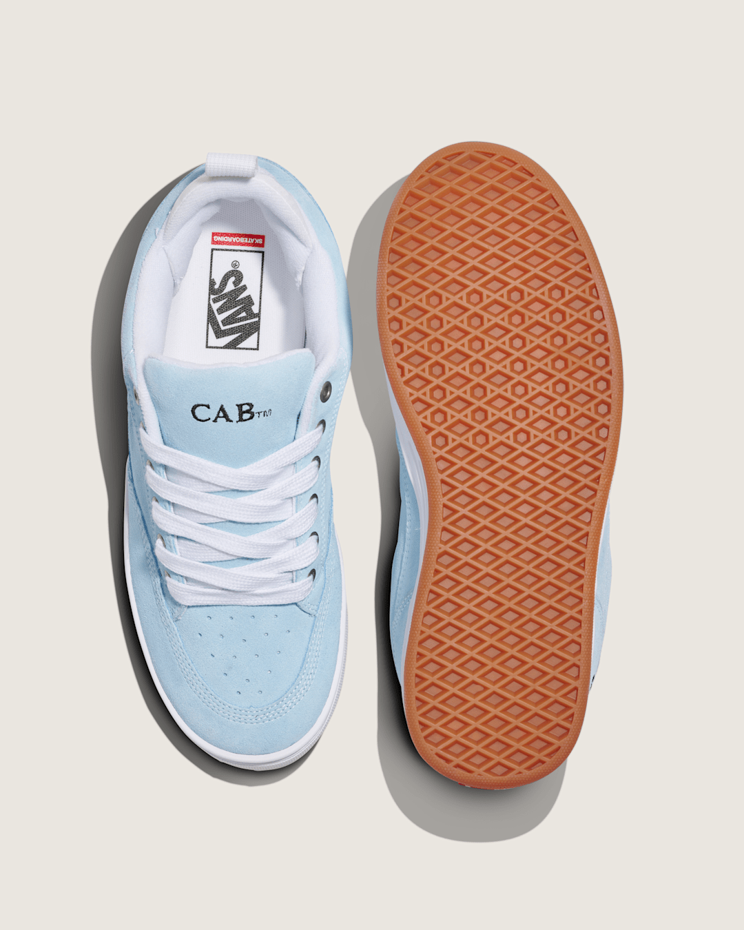 Vans Skate Cab 4 Shoe in Baby Blue