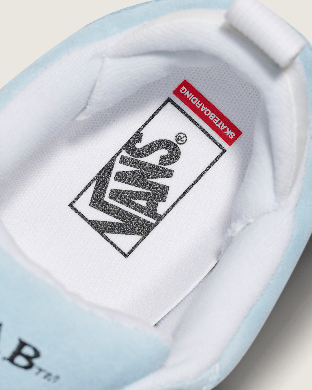 Vans Skate Cab 4 Shoe in Baby Blue