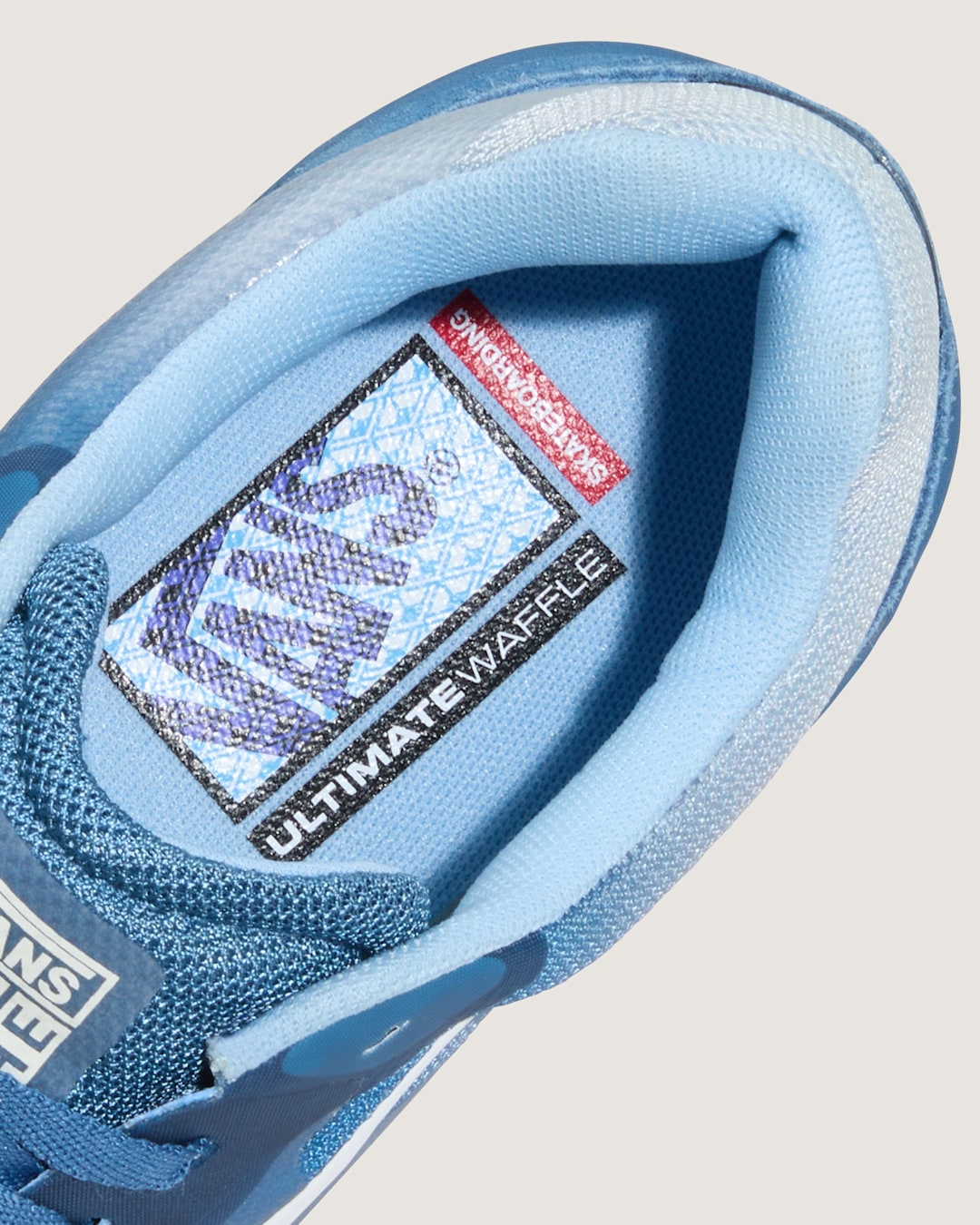 Vans Skate AVE 2.0 Shoe in Estate Blue
