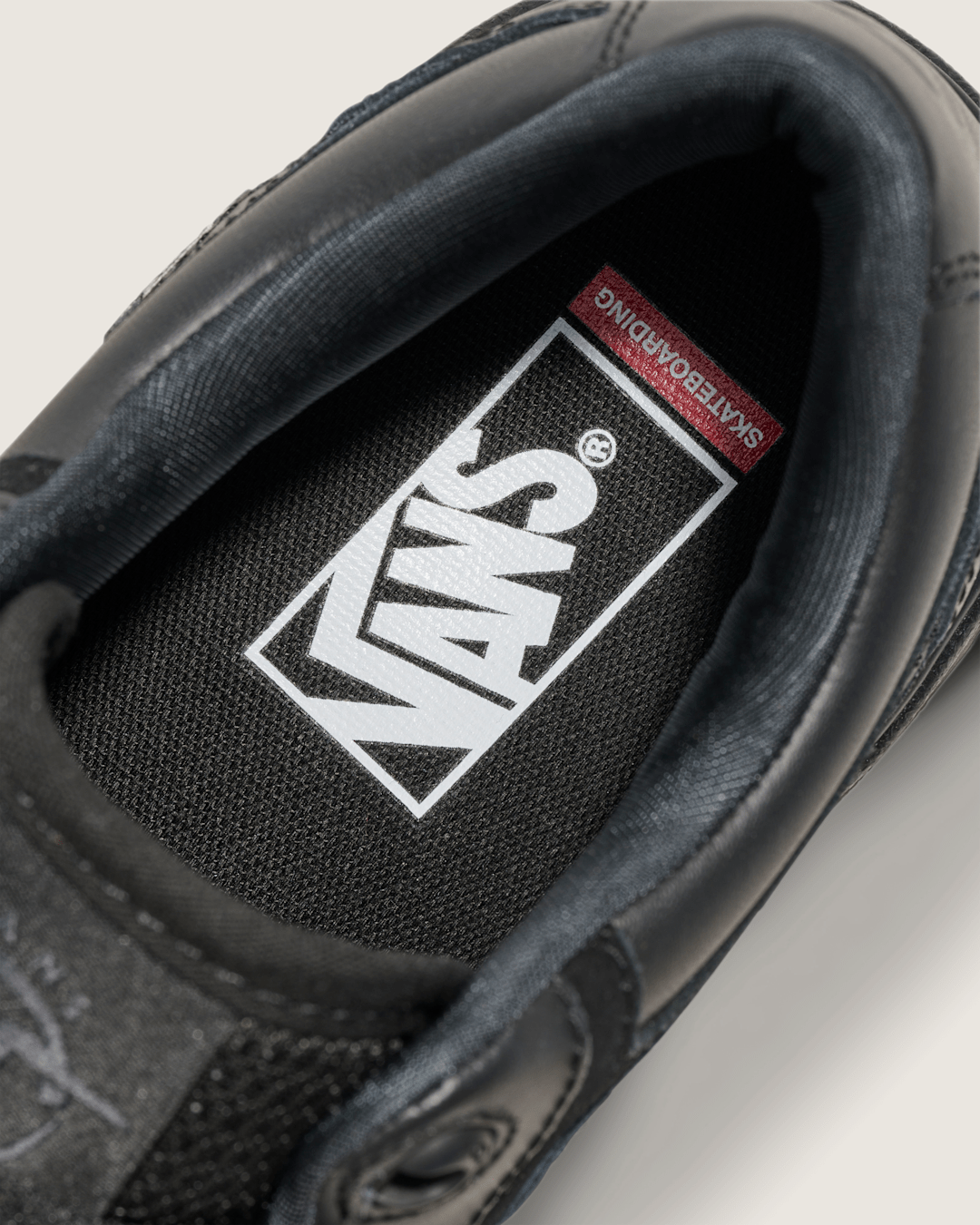 Vans Skate Rowan 2.0 Leather Shoe in Black
