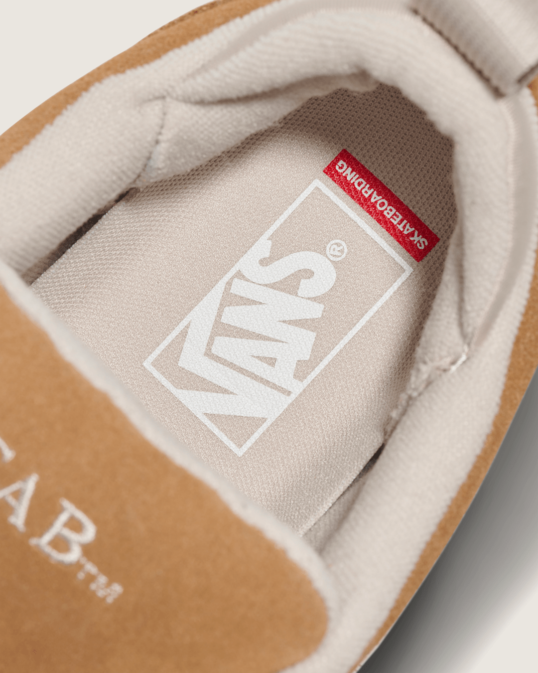Vans Skate Cab 4 Shoe in Brown / Gum