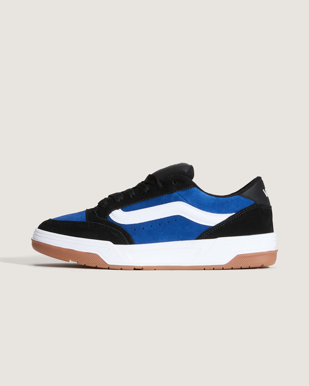 Vans Skate Hylane Shoe in Black / Blue