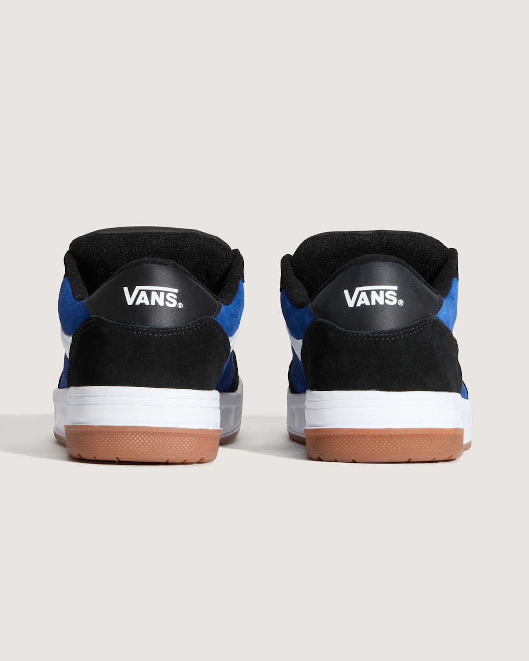 Vans Skate Hylane Shoe in Black / Blue