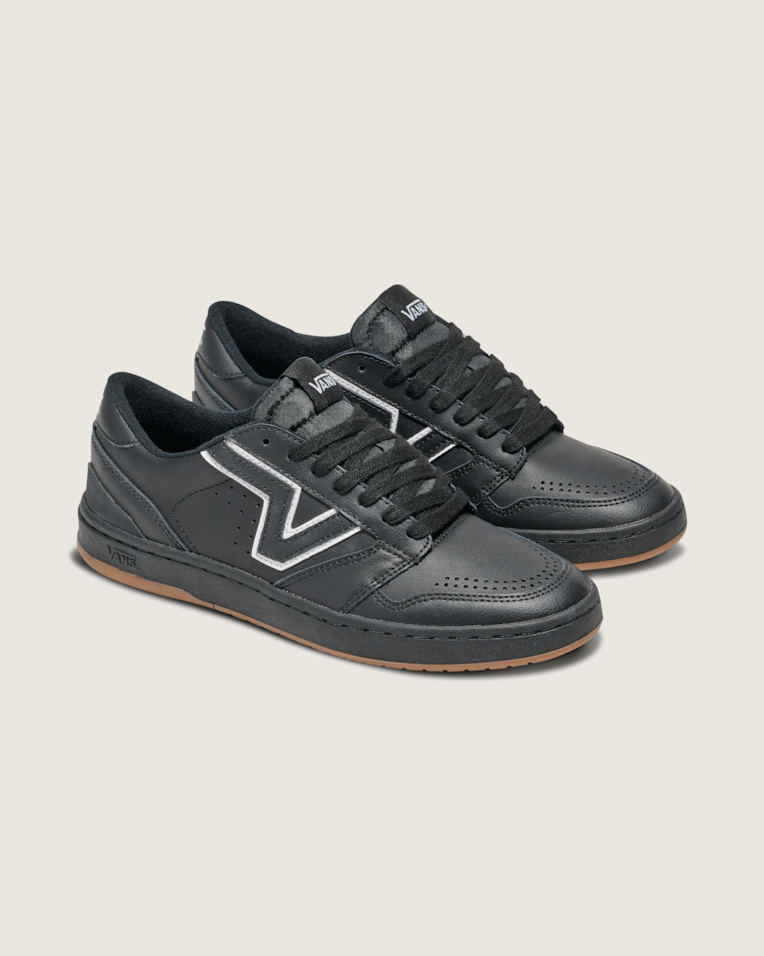 Vans Lowland 2.0 Shoe in Black / White