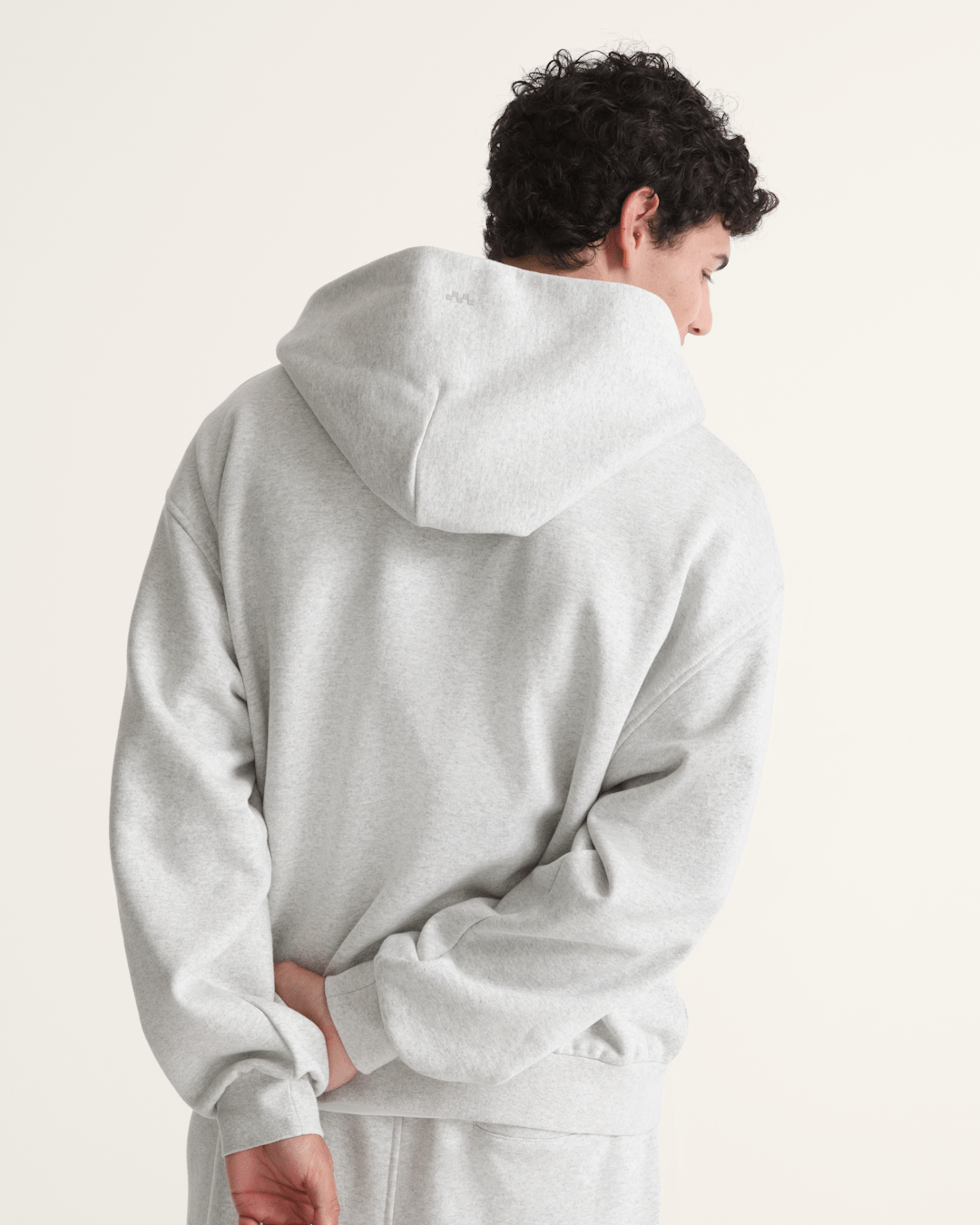 Vans Premium Zip Hoodie in Ash Heather Grey
