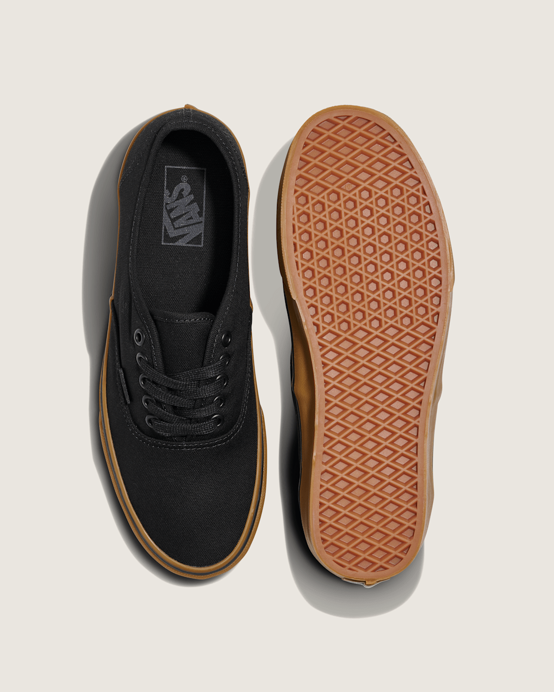 Vans Authentic Shoe in Gum Black