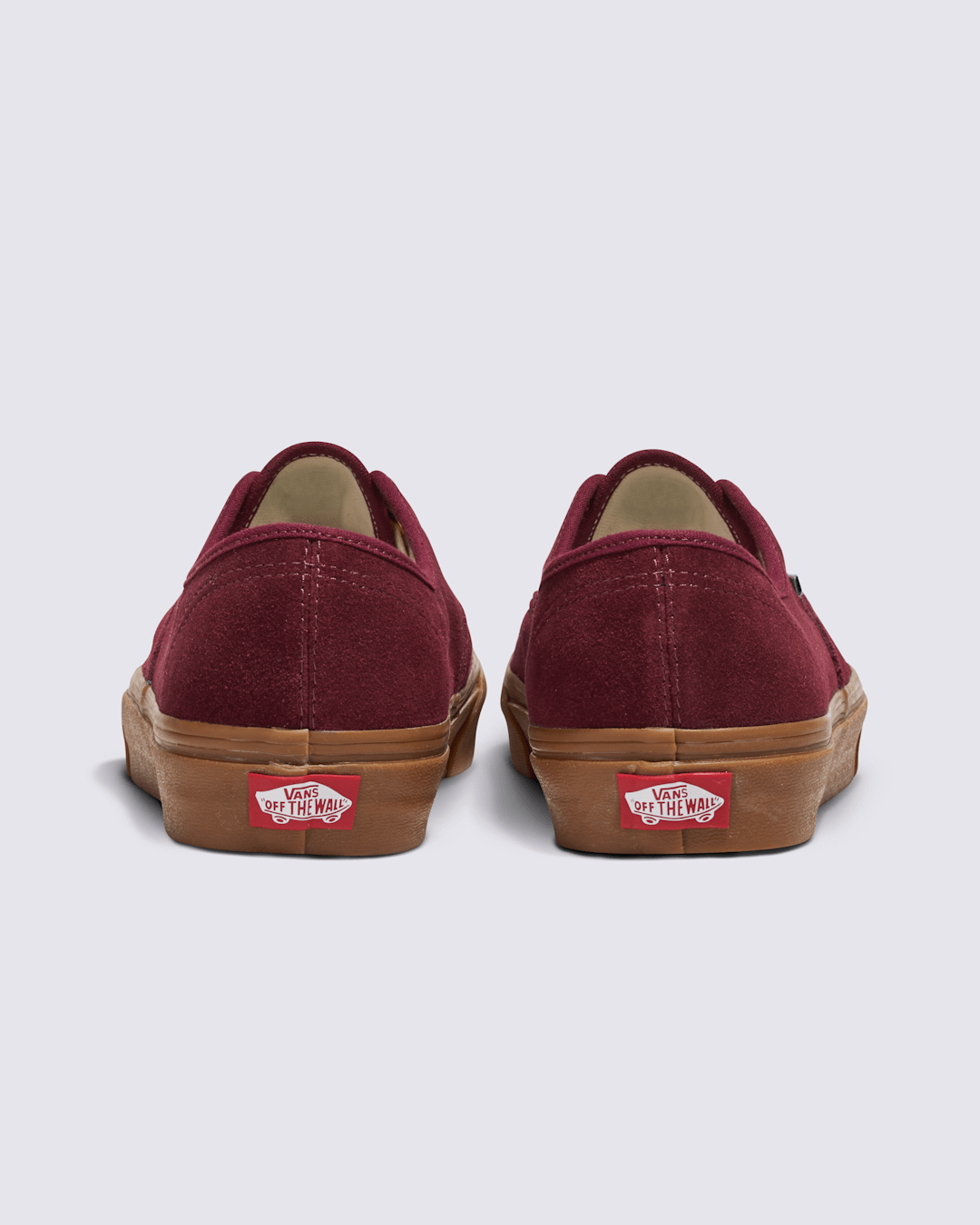 Vans Customs Authentic Suede Shoe in Customs
