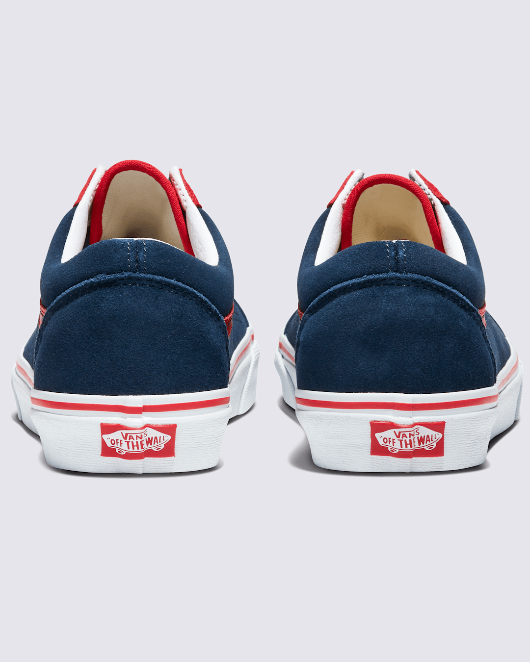 Vans Customs Old Skool Shoe in Customs
