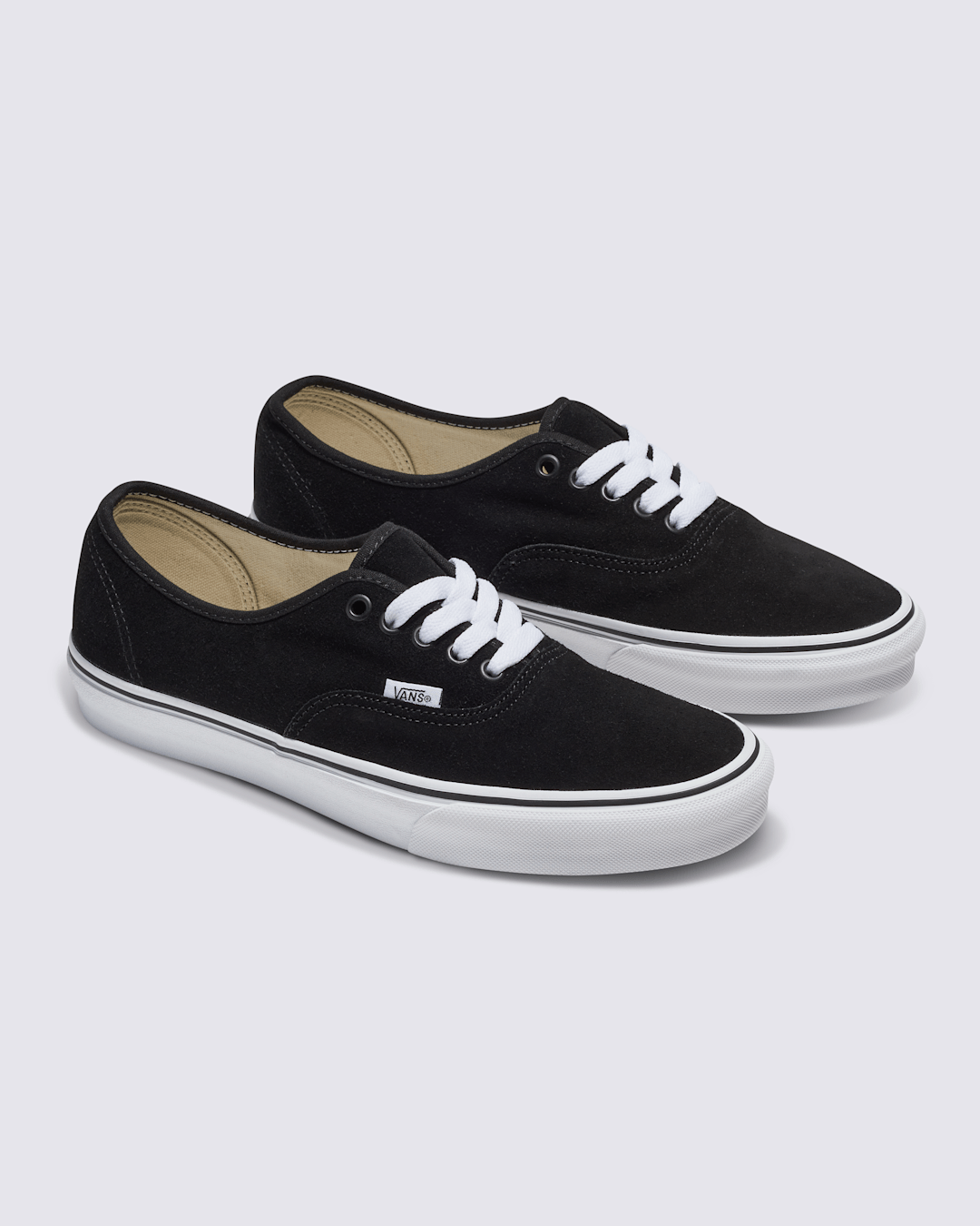 Vans Customs Authentic Suede Shoe in Customs