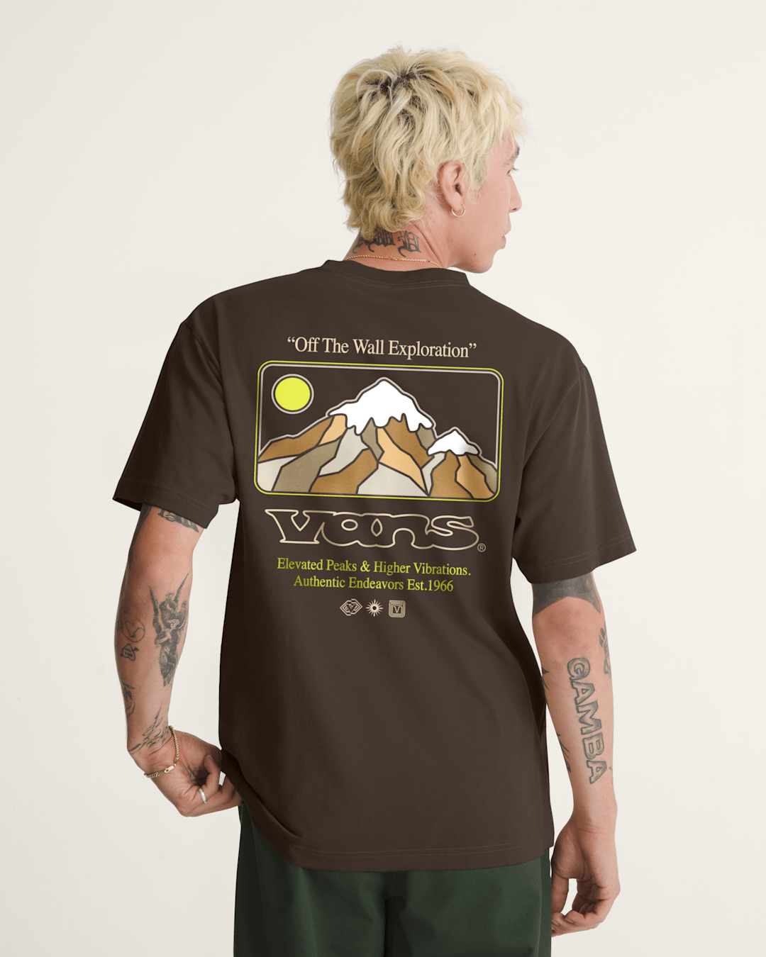 Vans Elevated Peaks T-Shirt in Demitasse Brown