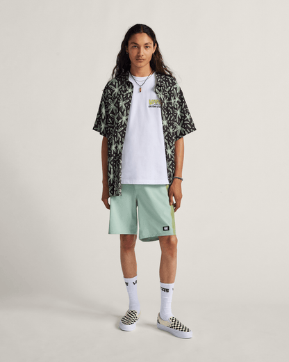 Vans Daily 18'' Boardshorts in Grey Olive Green